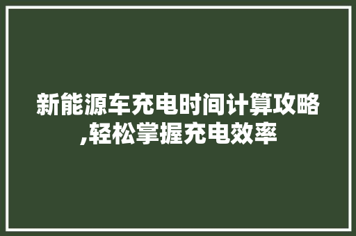 新能源车充电时间计算攻略,轻松掌握充电效率