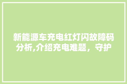 新能源车充电红灯闪故障码分析,介绍充电难题，守护绿色出行