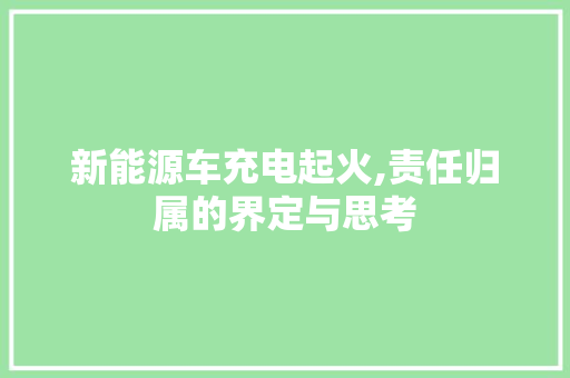 新能源车充电起火,责任归属的界定与思考