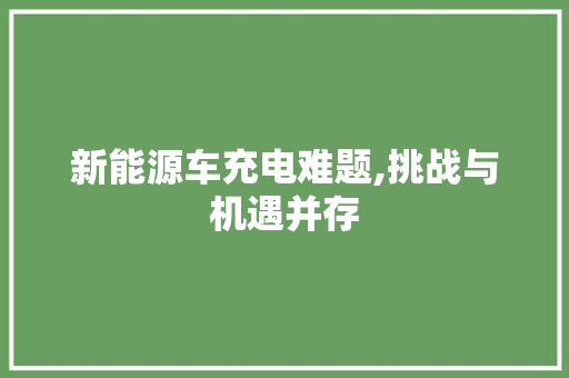 新能源车充电难题,挑战与机遇并存