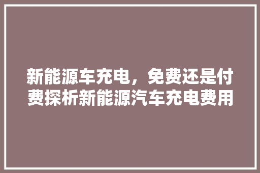 新能源车充电，免费还是付费探析新能源汽车充电费用及政策
