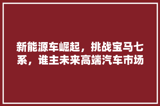 新能源车崛起，挑战宝马七系，谁主未来高端汽车市场
