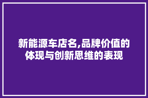 新能源车店名,品牌价值的体现与创新思维的表现 车载导航