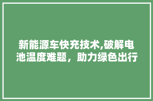 新能源车快充技术,破解电池温度难题，助力绿色出行 混合动力车