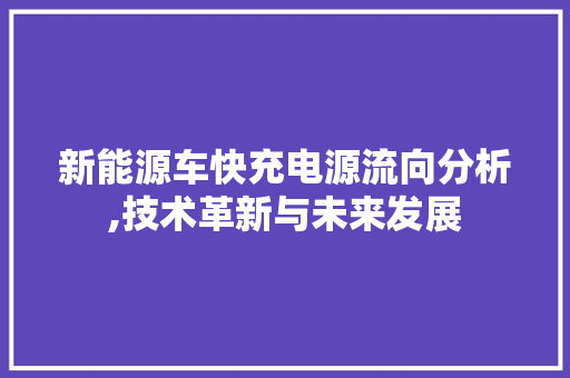 新能源车快充电源流向分析,技术革新与未来发展 汽车保养