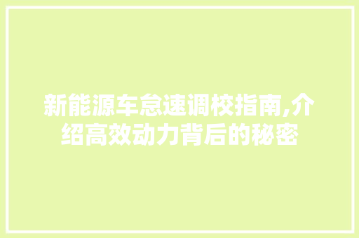 新能源车怠速调校指南,介绍高效动力背后的秘密