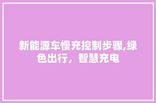 新能源车慢充控制步骤,绿色出行，智慧充电
