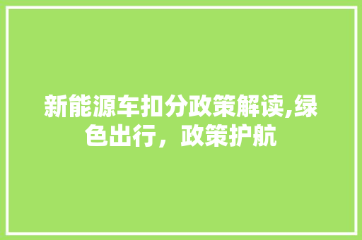 新能源车扣分政策解读,绿色出行，政策护航