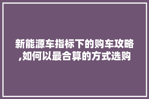 新能源车指标下的购车攻略,如何以最合算的方式选购心仪座驾