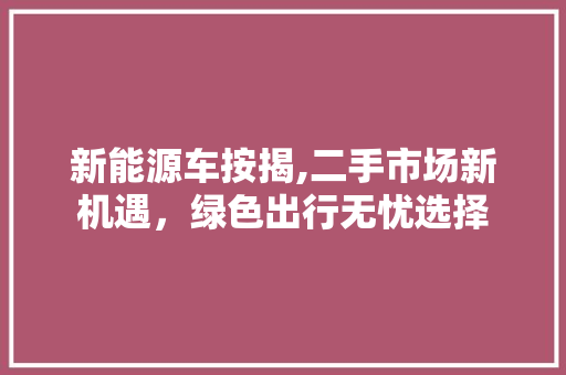 新能源车按揭,二手市场新机遇，绿色出行无忧选择