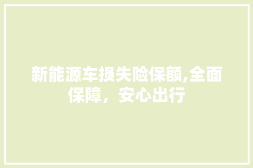 新能源车损失险保额,全面保障，安心出行