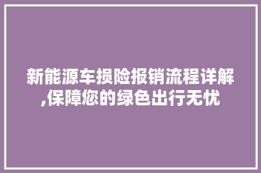 新能源车损险报销流程详解,保障您的绿色出行无忧