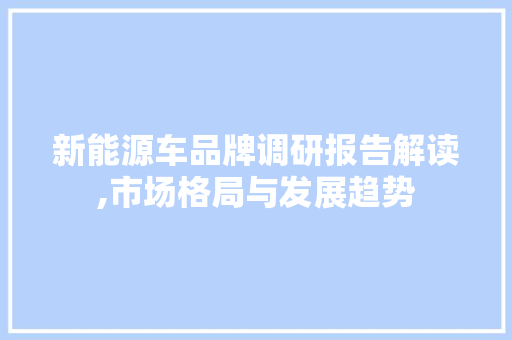 新能源车品牌调研报告解读,市场格局与发展趋势 自动驾驶
