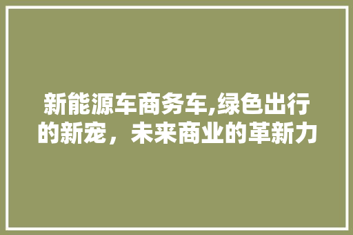 新能源车商务车,绿色出行的新宠，未来商业的革新力量 混合动力车