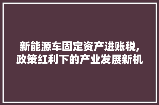 新能源车固定资产进账税,政策红利下的产业发展新机遇 新车资讯