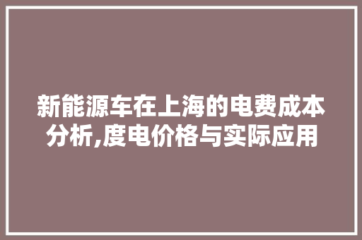 新能源车在上海的电费成本分析,度电价格与实际应用分析
