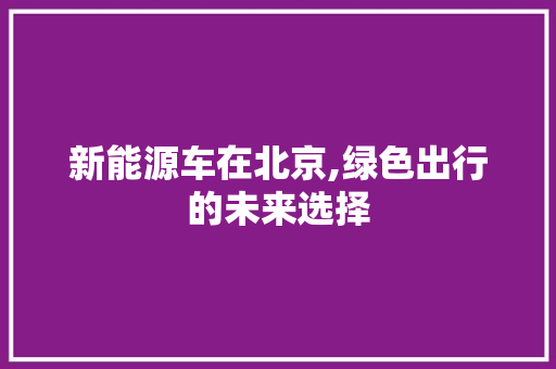 新能源车在北京,绿色出行的未来选择