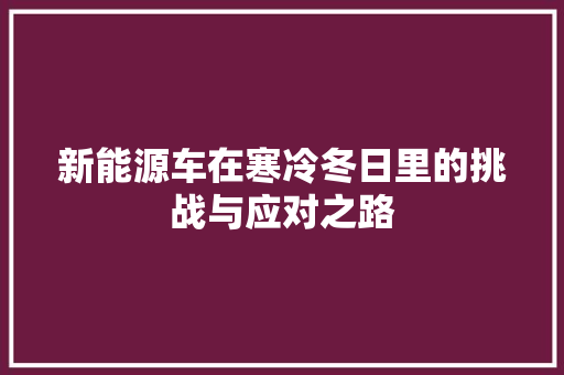 新能源车在寒冷冬日里的挑战与应对之路