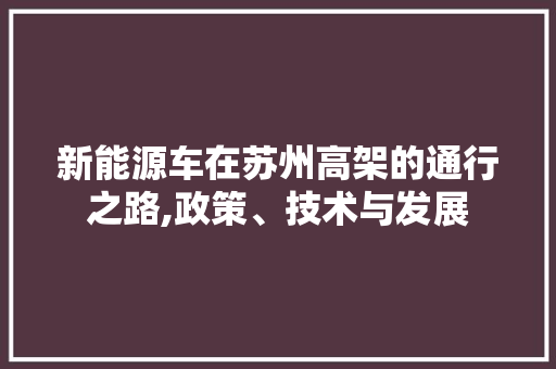 新能源车在苏州高架的通行之路,政策、技术与发展