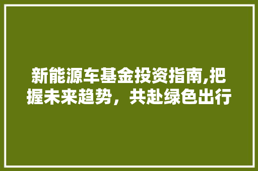 新能源车基金投资指南,把握未来趋势，共赴绿色出行新时代