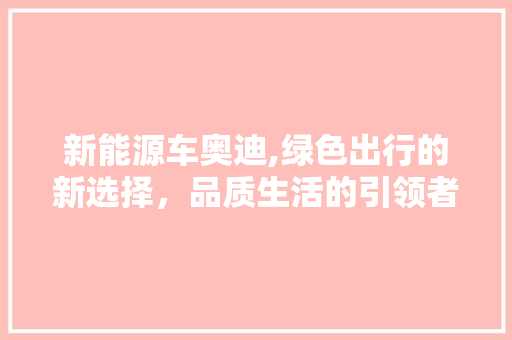 新能源车奥迪,绿色出行的新选择，品质生活的引领者