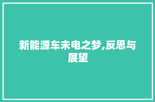 新能源车未电之梦,反思与展望