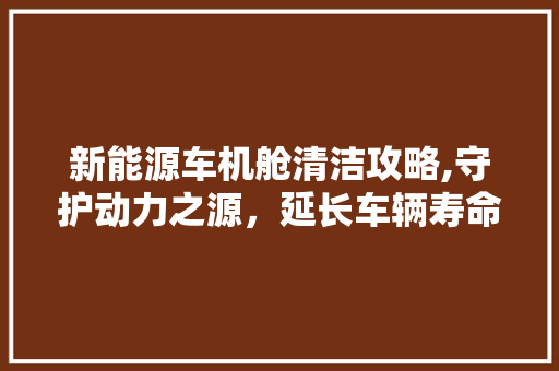 新能源车机舱清洁攻略,守护动力之源，延长车辆寿命