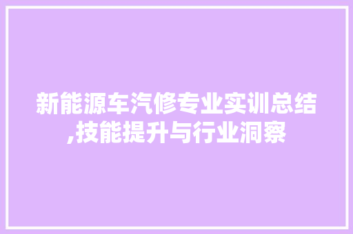 新能源车汽修专业实训总结,技能提升与行业洞察 车联网技术