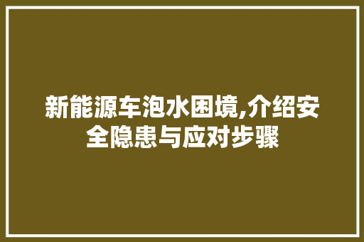 新能源车泡水困境,介绍安全隐患与应对步骤