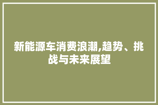 新能源车消费浪潮,趋势、挑战与未来展望