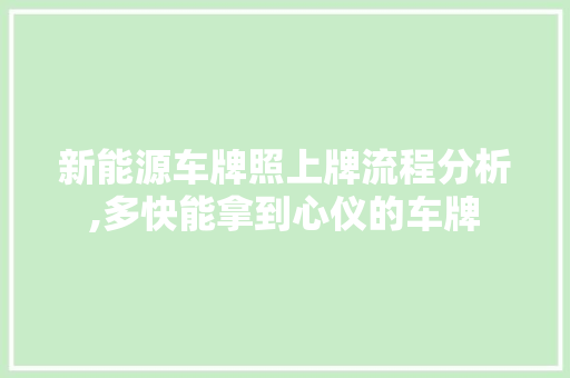 新能源车牌照上牌流程分析,多快能拿到心仪的车牌