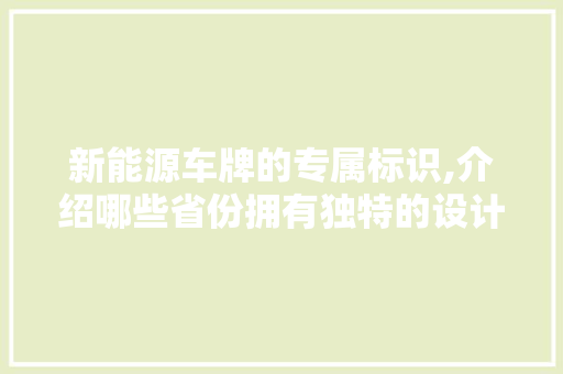 新能源车牌的专属标识,介绍哪些省份拥有独特的设计