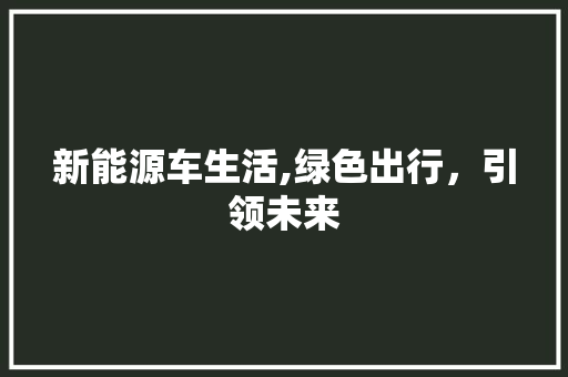 新能源车生活,绿色出行，引领未来