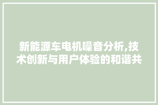 新能源车电机噪音分析,技术创新与用户体验的和谐共融