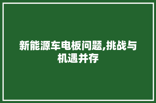 新能源车电板问题,挑战与机遇并存