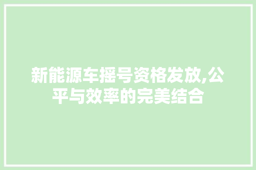新能源车摇号资格发放,公平与效率的完美结合