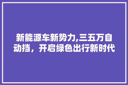 新能源车新势力,三五万自动挡，开启绿色出行新时代