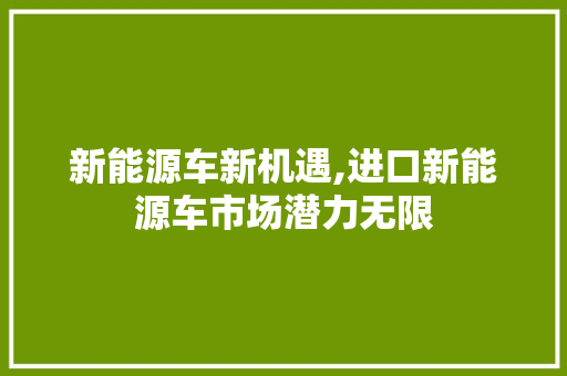 新能源车新机遇,进口新能源车市场潜力无限