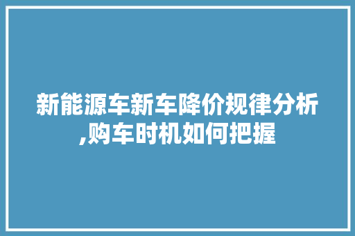 新能源车新车降价规律分析,购车时机如何把握