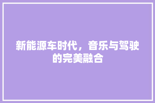 新能源车时代，音乐与驾驶的完美融合
