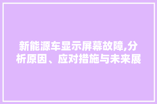 新能源车显示屏幕故障,分析原因、应对措施与未来展望