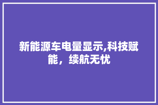 新能源车电量显示,科技赋能，续航无忧