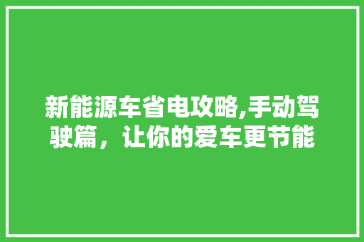 新能源车省电攻略,手动驾驶篇，让你的爱车更节能