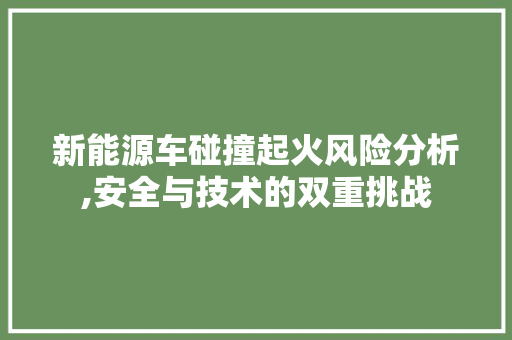 新能源车碰撞起火风险分析,安全与技术的双重挑战