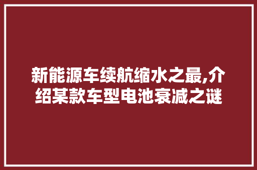 新能源车续航缩水之最,介绍某款车型电池衰减之谜