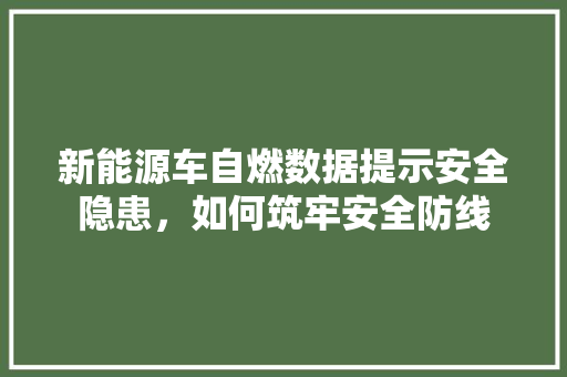 新能源车自燃数据提示安全隐患，如何筑牢安全防线 汽车轮胎