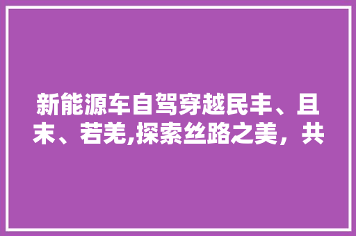 新能源车自驾穿越民丰、且末、若羌,探索丝路之美，共赴绿色之旅