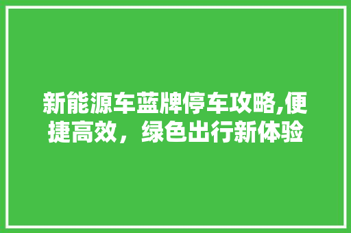 新能源车蓝牌停车攻略,便捷高效，绿色出行新体验
