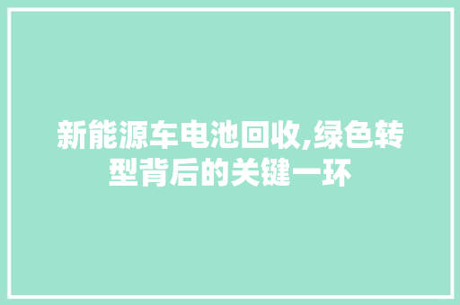 新能源车电池回收,绿色转型背后的关键一环