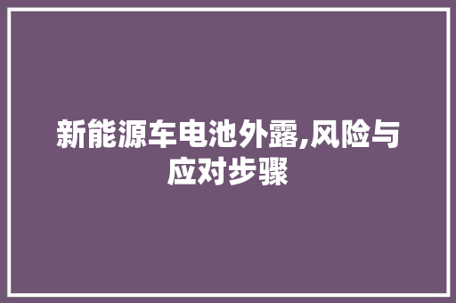 新能源车电池外露,风险与应对步骤